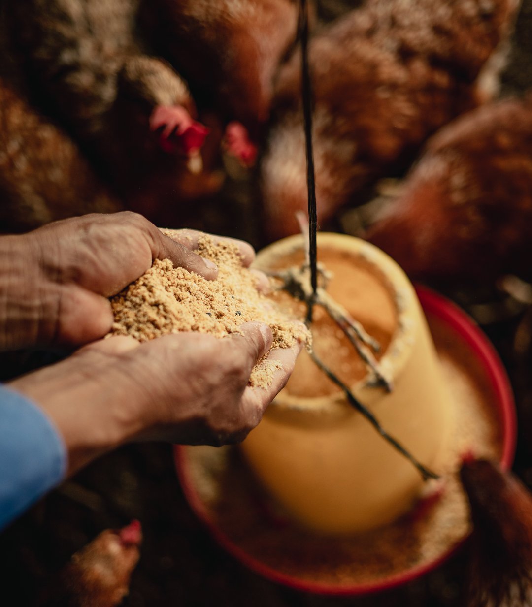 09-08-25 Guatemala Story Trip 2C1A1197-2