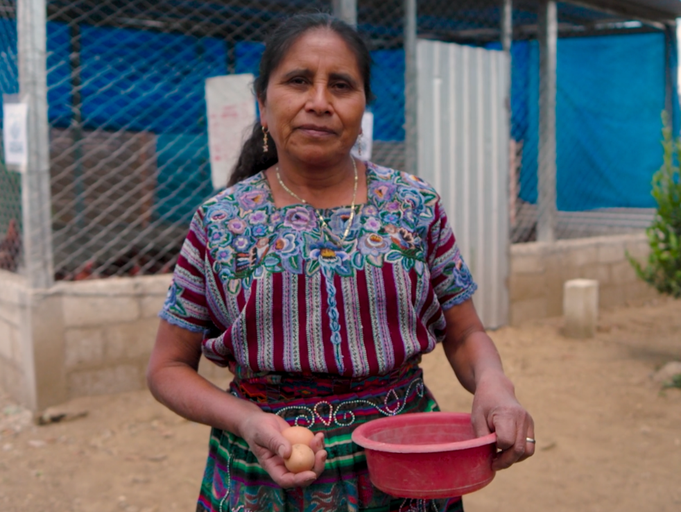 COH Guatemala Chickens 2B (edited)